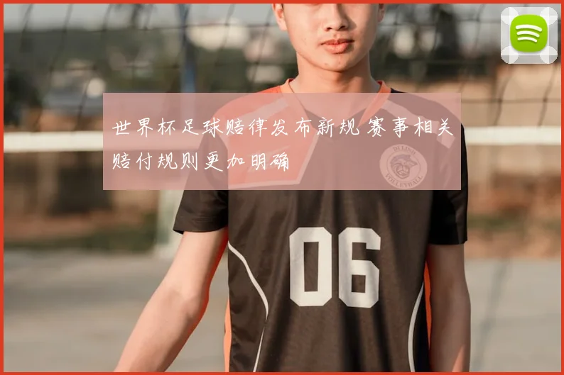 世界杯足球赔律发布新规 赛事相关赔付规则更加明确