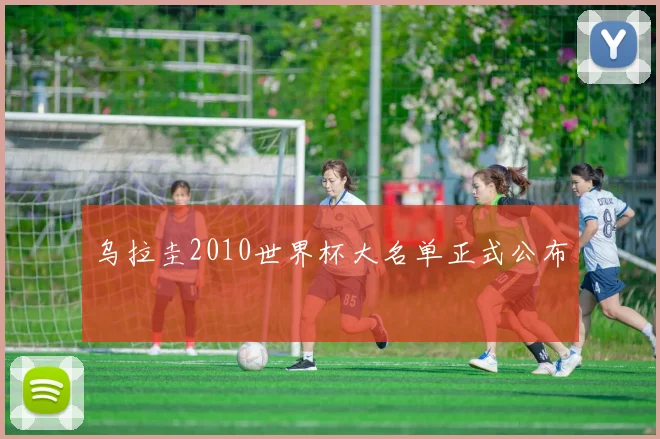 乌拉圭2010世界杯大名单正式公布