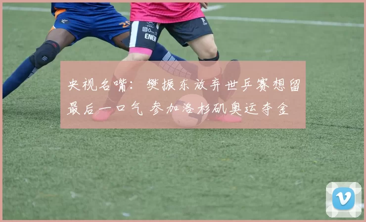 央视名嘴：樊振东放弃世乒赛想留最后一口气 参加洛杉矶奥运夺金